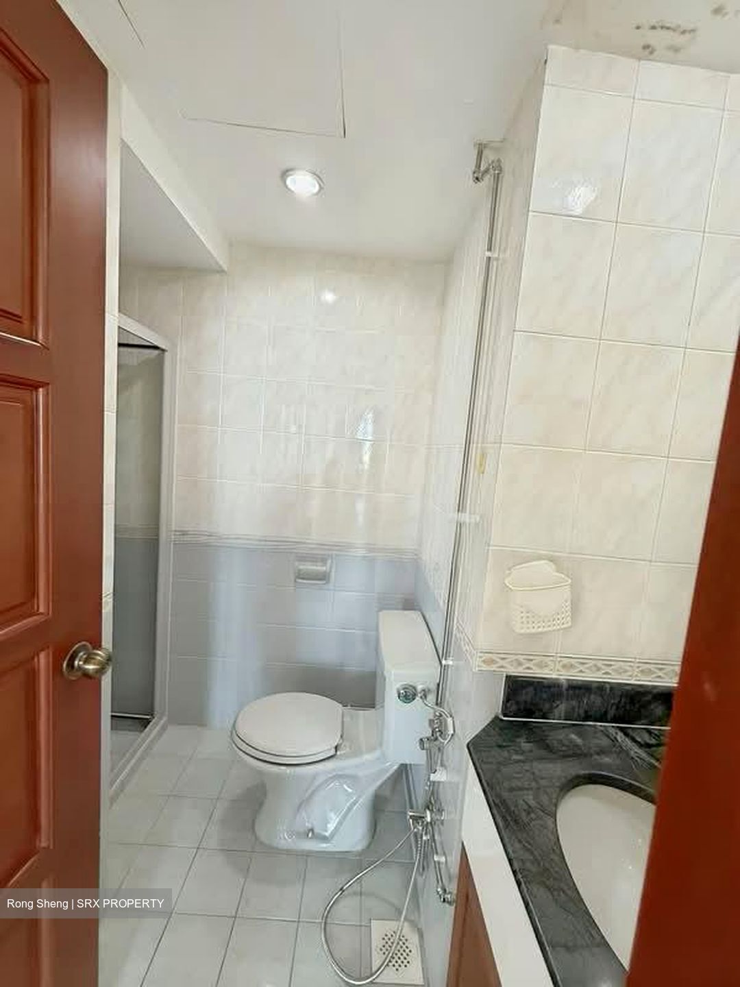 Simsville (D14), Condominium #543878321